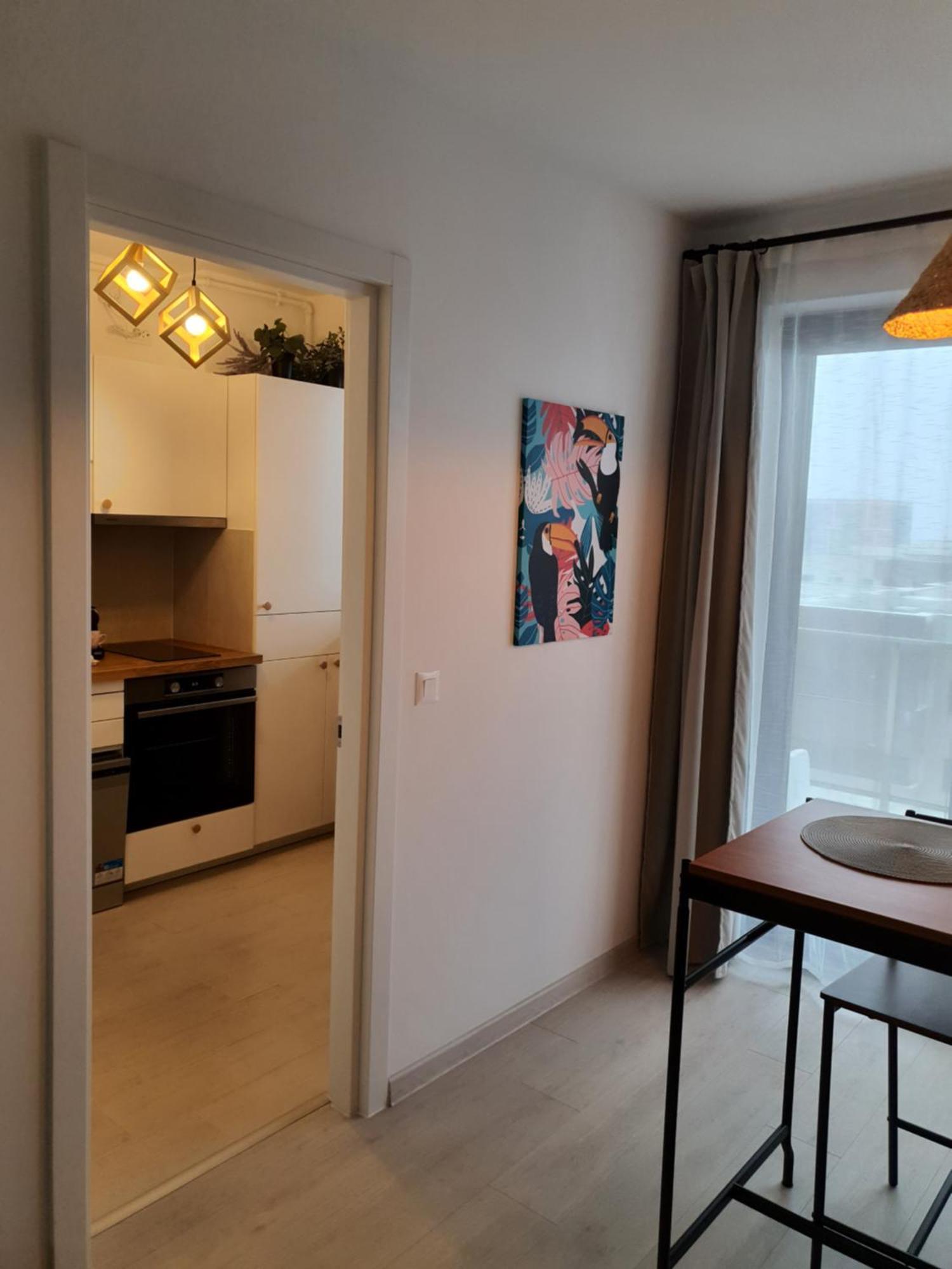 Premium Hils Brauner Studio Bukareszt Zewnętrze zdjęcie