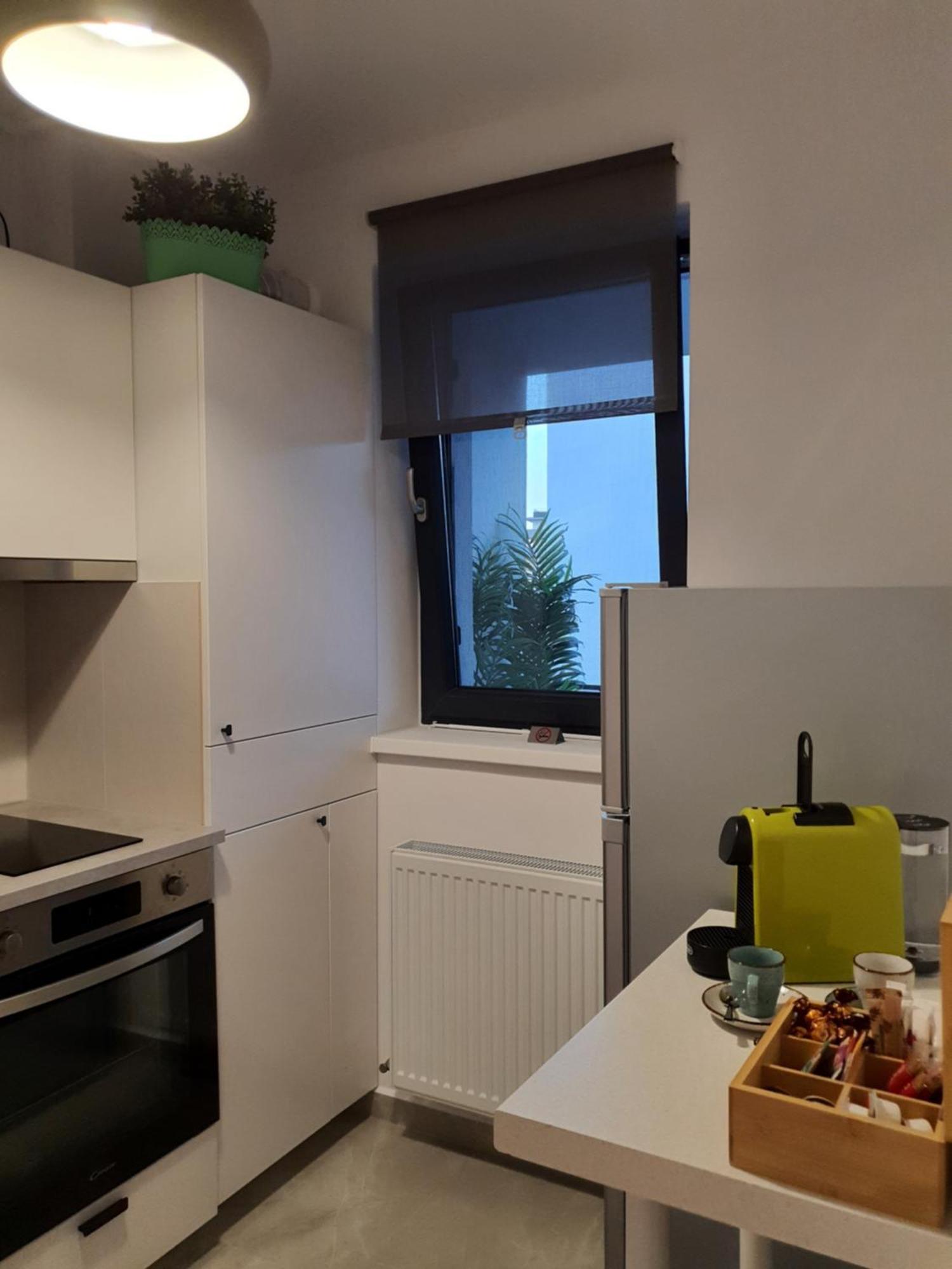 Premium Hils Brauner Studio Bukareszt Zewnętrze zdjęcie